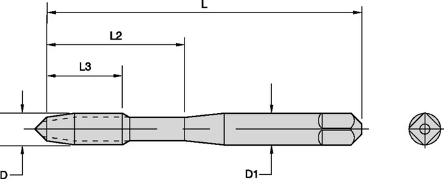 Diagrama de referência das medidas D, D1, Q, L, L2 e L3